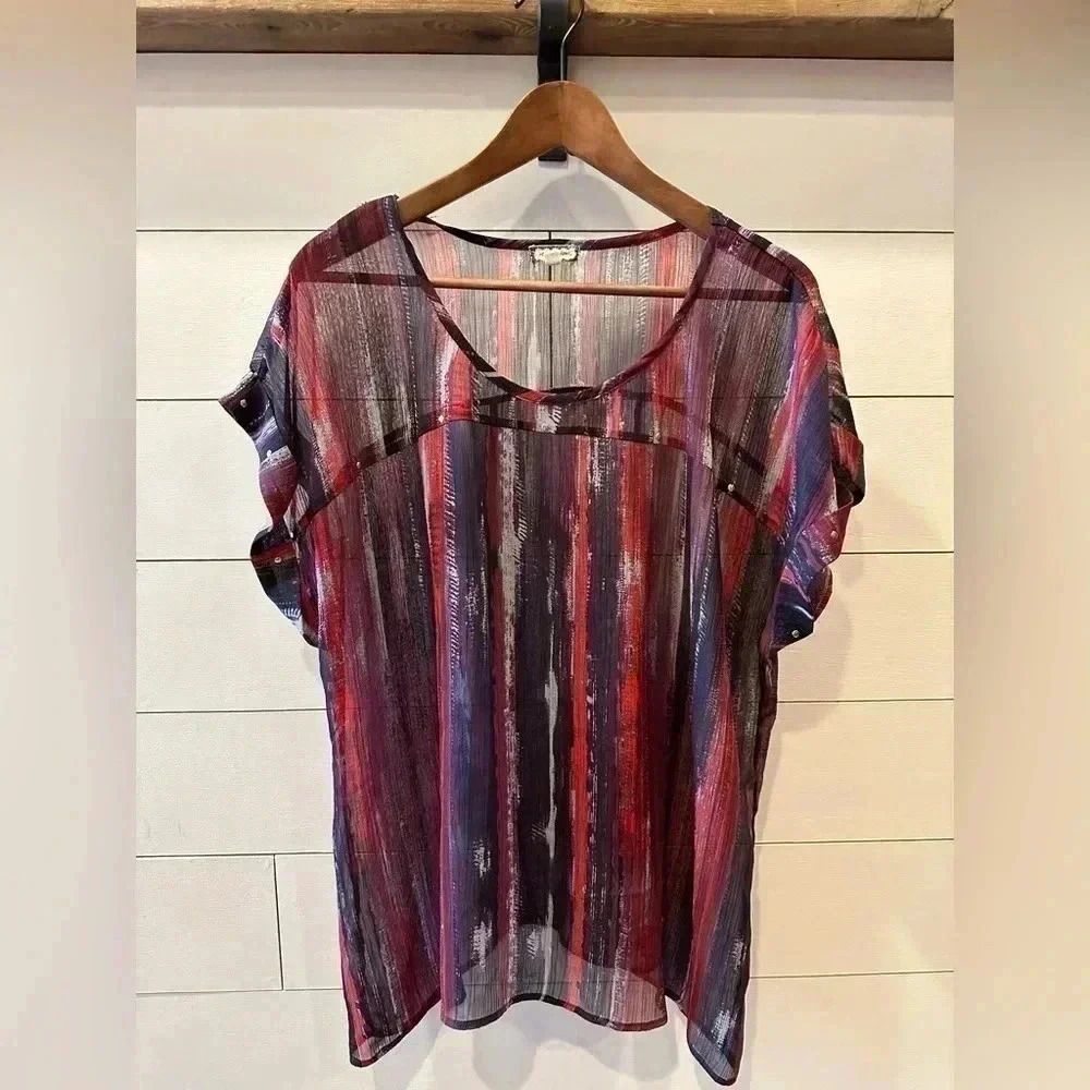 Eye Shadow Sheer Top- Womens 1X